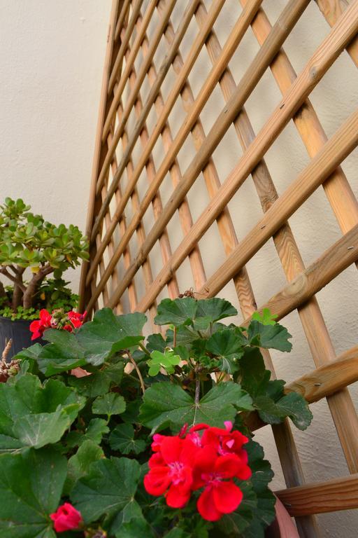 Anatolia Guest House Ханья Экстерьер фото